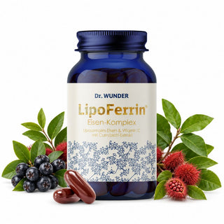 LipoFerrin Eisen-Komplex