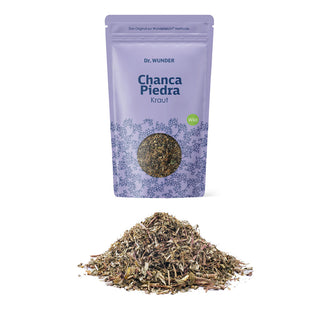 Chanca Piedra Kraut