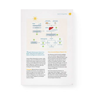 Alles über Vitamin D (Buch)